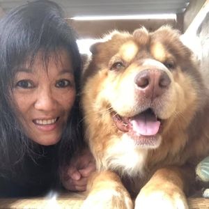 Meet your Posher, Joan